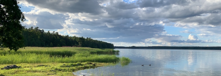 Tranquil Bay